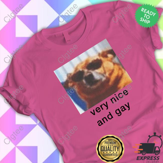 Official Dogecore Merch Very Nice And Gay T Shirts Official Dogecore Merch Very Nice And Gay T Shirts